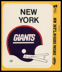 77FTAS New York Giants Helmet.jpg